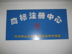 圣佳23周年 專業引領濟寧工商代理與公司注冊服務